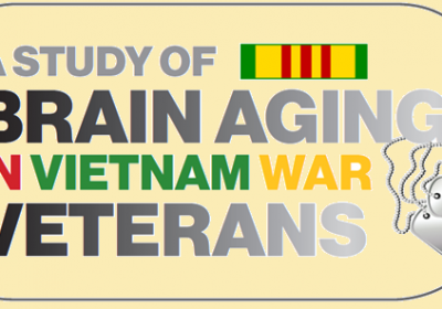 A Study of Brain Aging
