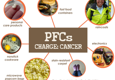 Perflourinated Compounds (PFCs)