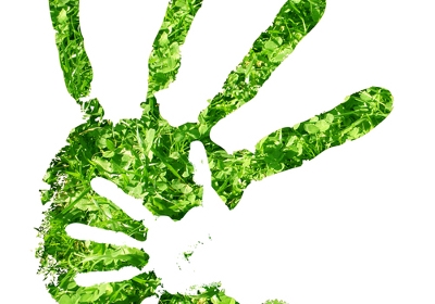 Sustainable Development